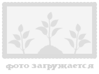 Не настроено изображение 