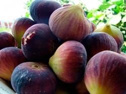 injir