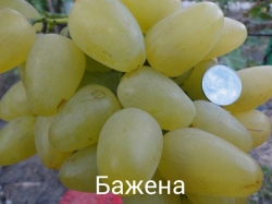 img_20140717_120557