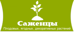 Интернет-магазин Саженцев плодовых и декоративных растений