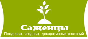 Саженцы плодовых, ягодных, и декоративных растений